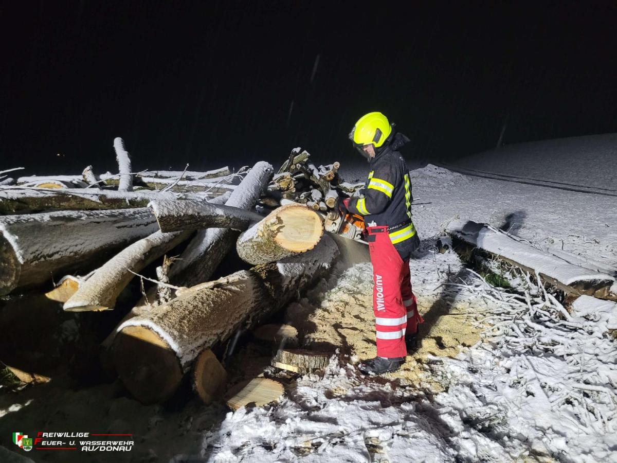 K160020260219204115jpg6