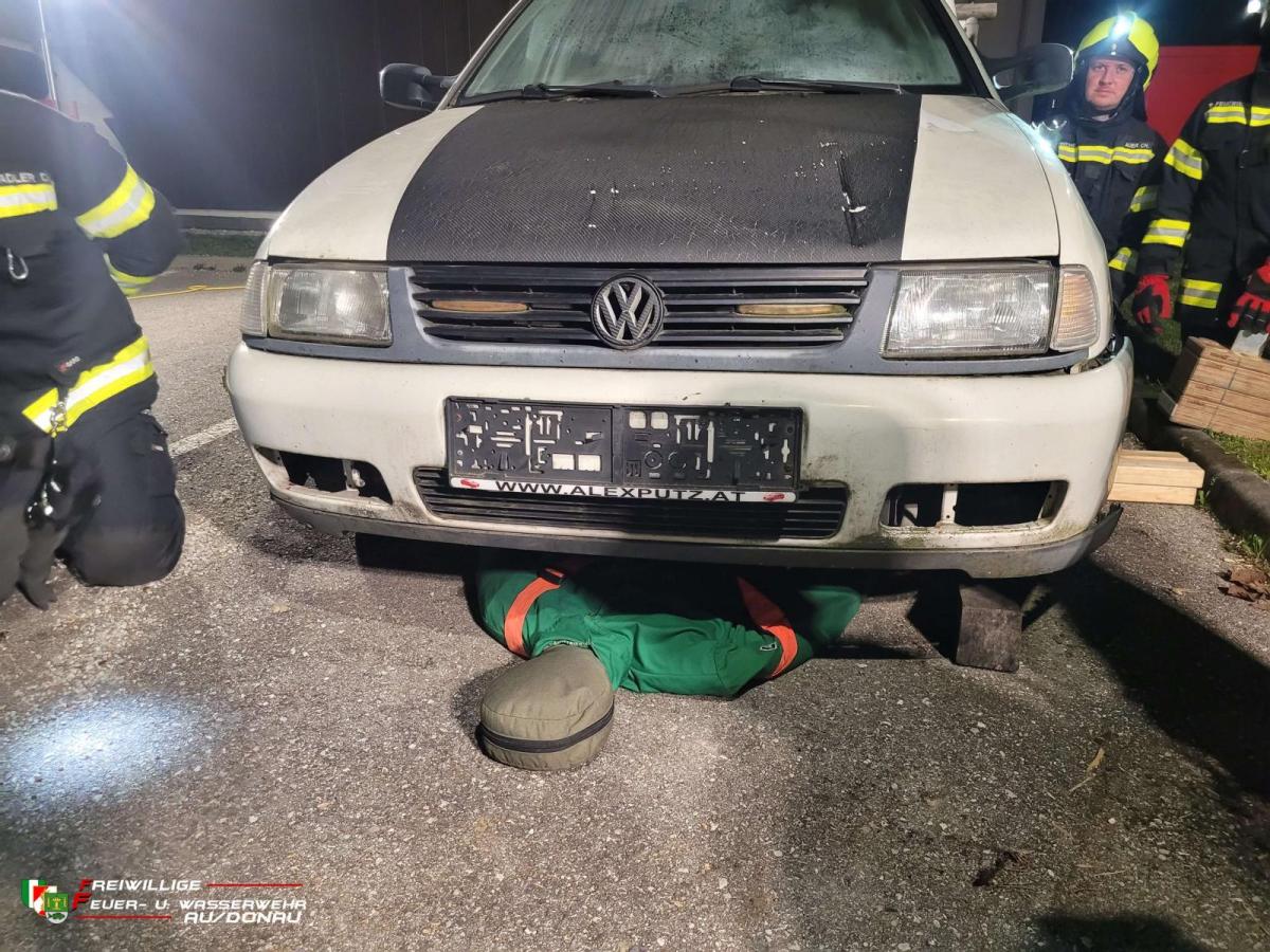 K160020260305193354jpg6