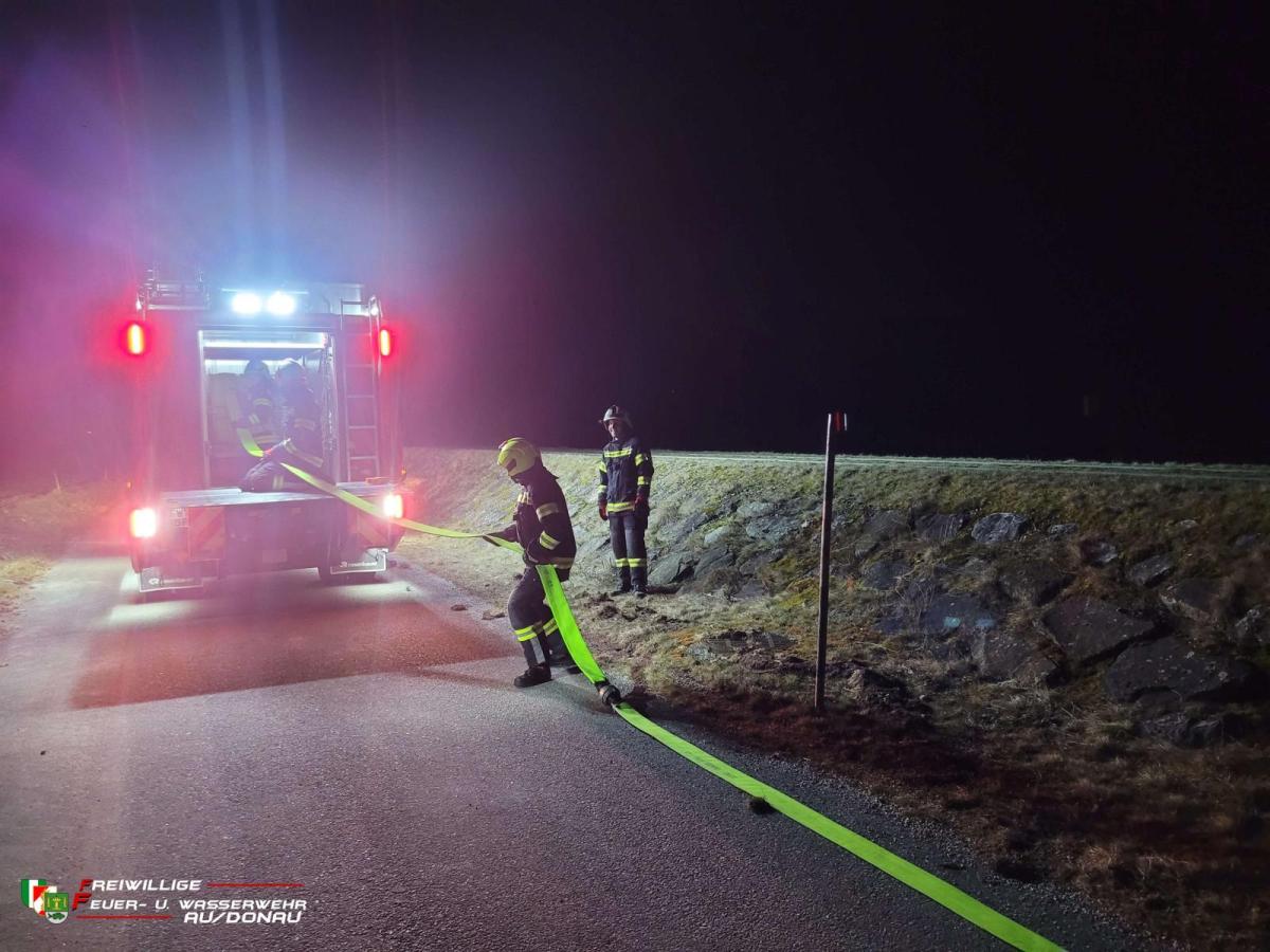 K160020260305204849jpg0