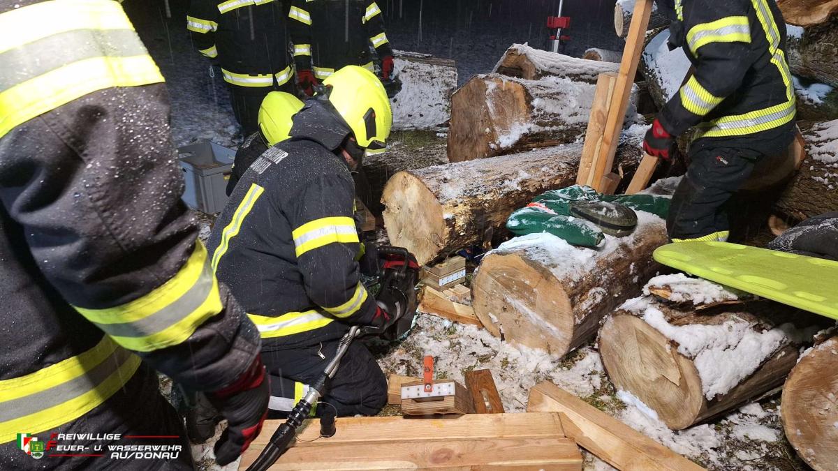 K1600IMG-20260219-WA0009jpg1